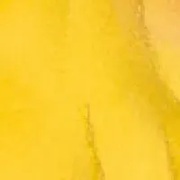 ラノのおこり方