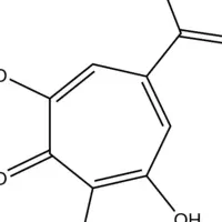 カビ毒分析方法開発