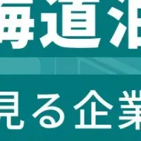 泊村企業ランキング