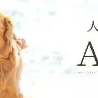 愛犬のお守りアクセサリー