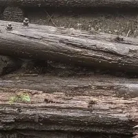 登山道維持管理の未来