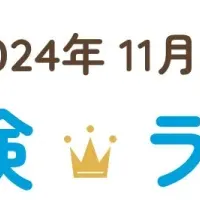 2024年11月保険情報