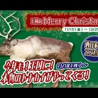 特別なクリスマス