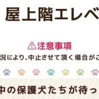 保護犬譲渡会開催