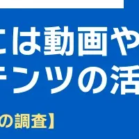 Z世代と就活動画