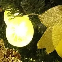 竹原のレモンクリスマス