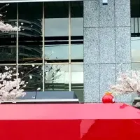 桜とIKEBUSの旅