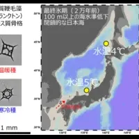 日本海の過去を探究