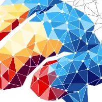 開脳フェスの成功