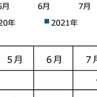 セルシスの業績レポート