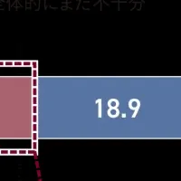 DXの進捗と課題