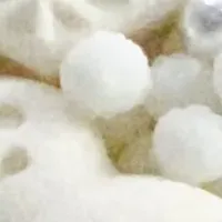 愛らしい雪だるまのお菓子