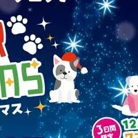 ワンちゃんのクリスマス