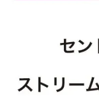 IR資料改革成功！