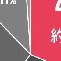 マスカラ実態調査