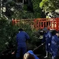 冬支度の花やしき