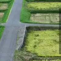 東野登山隊特集