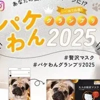 パケわんグランプリ開催