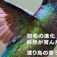 驚異の鳥類ガイド