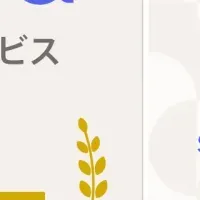 ピル処方サービスの進化