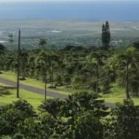 ハワイでコーヒー体験