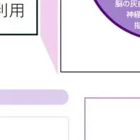 脳の健康を測定