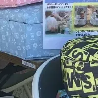 認知症理解を深める