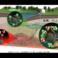 微生物が変える天然ガス