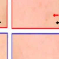 新型ビタミンCの効果