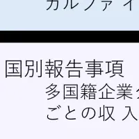 移転価格とローカルファイル