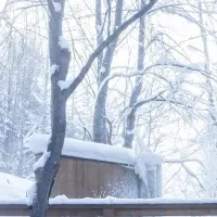 北湯沢温泉特典プラン