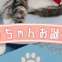 りっちゃん誕生日祝い