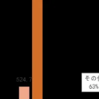 訪日向け新サービス