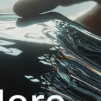 Xeneaのエコシステムパートナー募集中