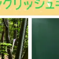ペッピーキッズクラブの英語キャンプ