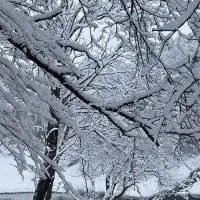 雪国リトリート参加者募集中