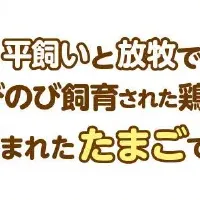 おいしい卵が増える！