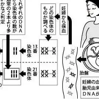 出生前検査の新刊紹介