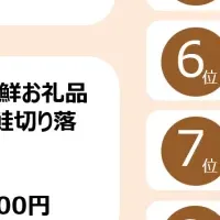 ふるさと納税人気ランキング