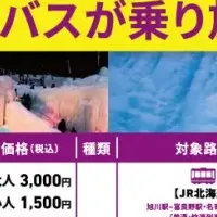 「かみくるパス」の魅力